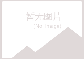 青岛忆山会计有限公司